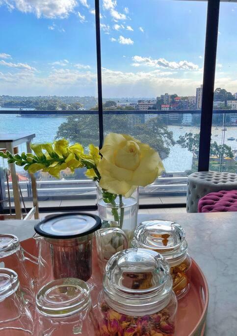 Luxury In Lavender Bay For Vivid Apartment