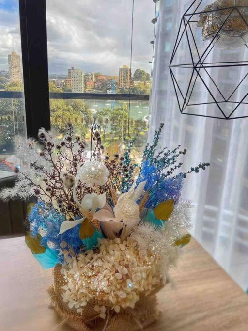 Apartment Luxury In Lavender Bay For Vivid *